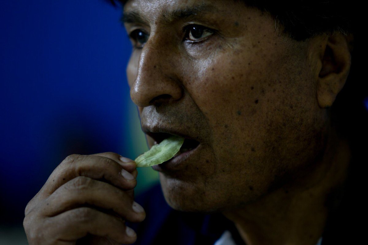 Natacha Pisarenko (@npisarenko) on Twitter photo Bolivia's former leader Evo Morales seeks a political comeback from his stronghold in the tropics <a href="/IsabelDeBre/">Isabel DeBre</a> <a href="/juankarita/">Juan Karita</a> <a href="/AP/">The Associated Press</a> apnews.com/article/bolivi… Bolivia's former leader Evo Morales seeks a political comeback from his stronghold in the tropics <a href="/IsabelDeBre/">Isabel DeBre</a> <a href="/juankarita/">Juan Karita</a> <a href="/AP/">The Associated Press</a> apnews.com/article/bolivi…