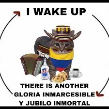 nacional_memes's tweet photo. 🐶 https://t.co/Yk1liD5YTw