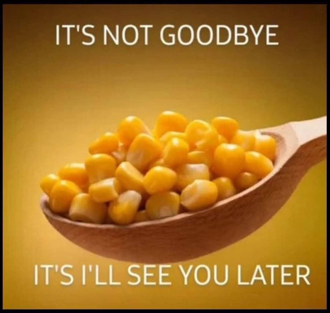 🇺🇸 Oh Hey It's Me ❤🤍💙 tweet media