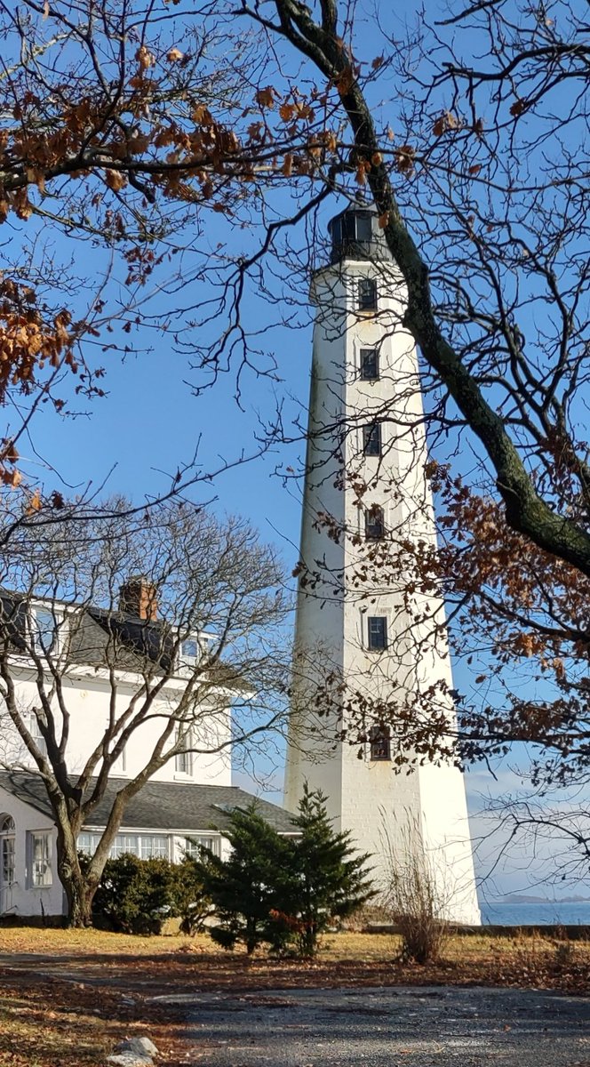 Tim (Tim821) tweet media