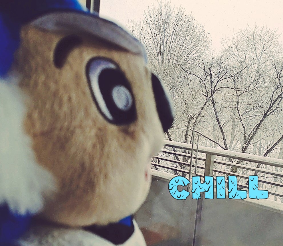 chie_koala🐨 tweet media