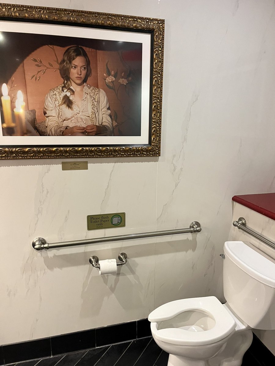 I’m not sure if <a href="/AmandaSeyfried/">Amanda Seyfried</a> should be honored or horrified to have her portrait prominently positioned above the hopper in a Universal Studios bathroom.