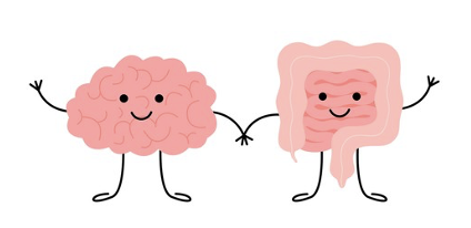 Annie Vogel Ciernia (@avogelciernia) on Twitter photo Excited for our new work to be officially published doi.org/10.1016/j.bbi.…! This study in collaboration with <a href="/CTropini/">Carolina Tropini, PhD</a> 's group reveals that early-life gut inflammation leads to sex-dependent changes in the microbiome-endocrine-brain axis. Excited for our new work to be officially published doi.org/10.1016/j.bbi.…! This study in collaboration with <a href="/CTropini/">Carolina Tropini, PhD</a> 's group reveals that early-life gut inflammation leads to sex-dependent changes in the microbiome-endocrine-brain axis.