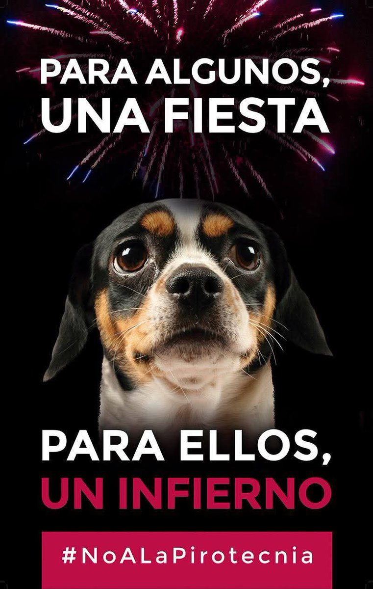No a la #pirotecnia #PirotecniaCero