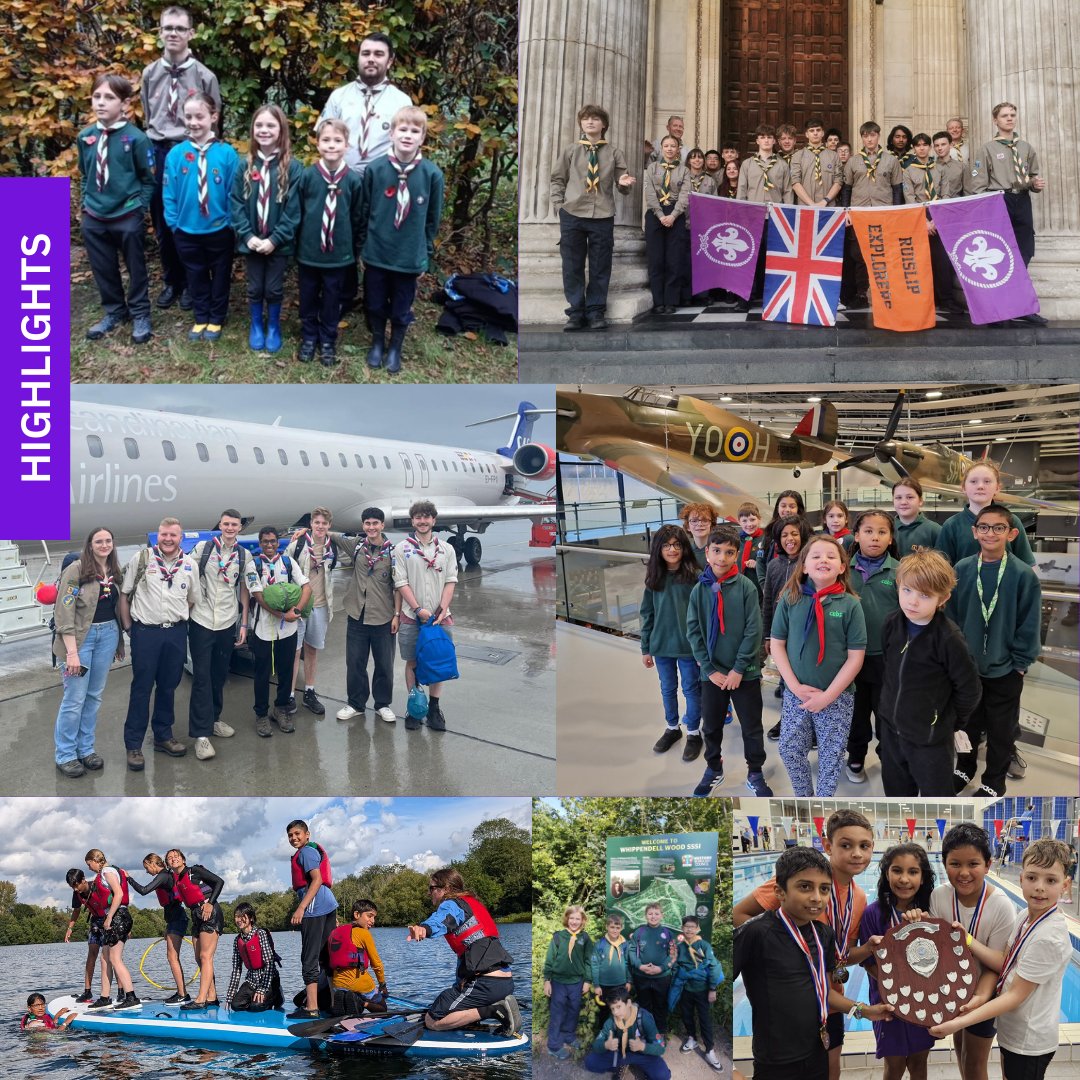 REN District Scouts tweet media