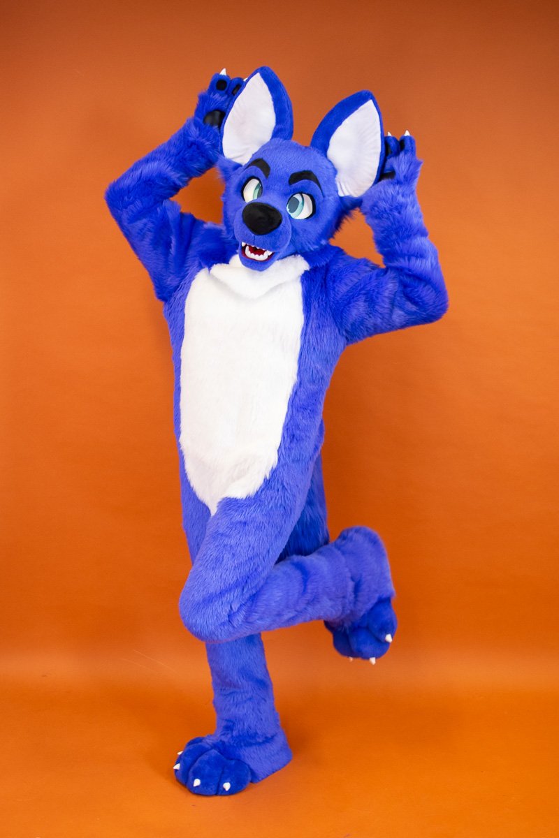 Flash Hound tweet media