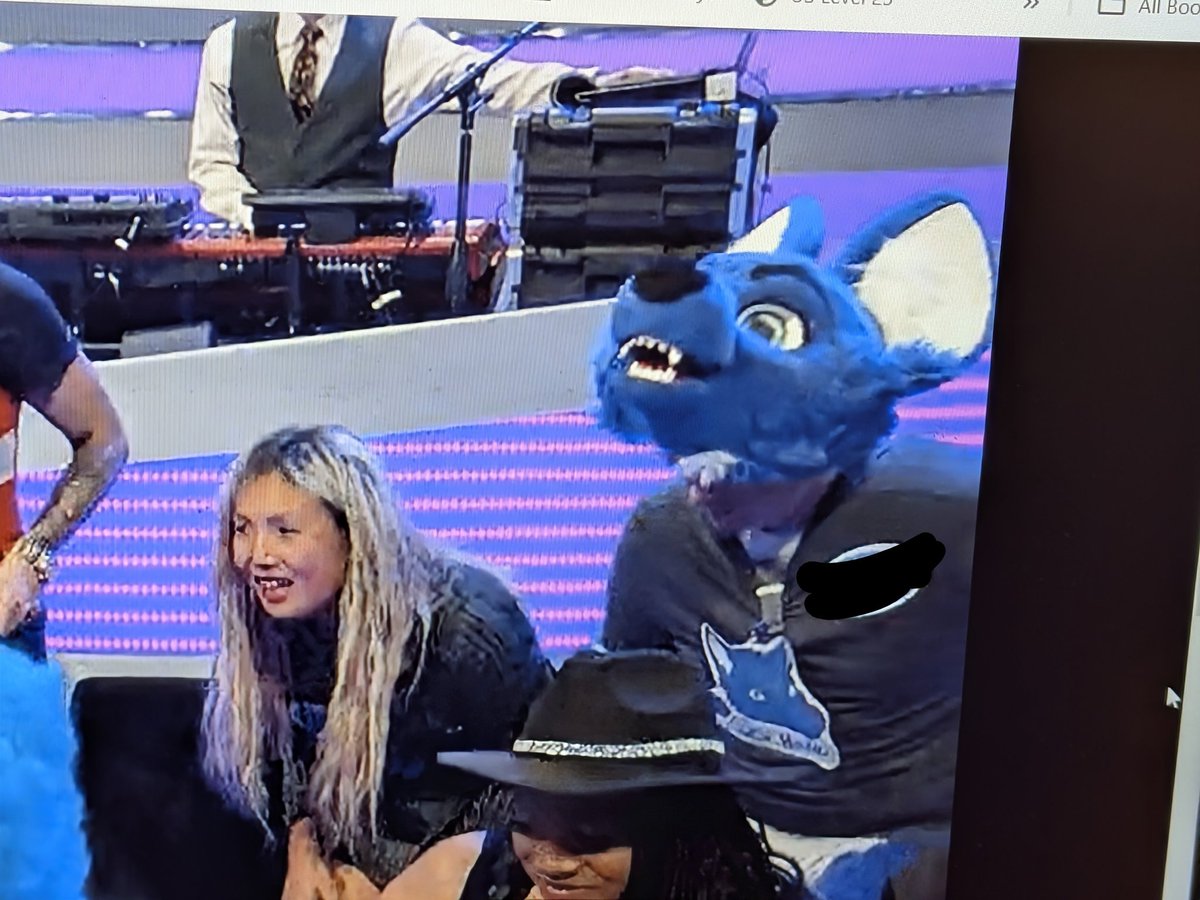 Flash Hound tweet media