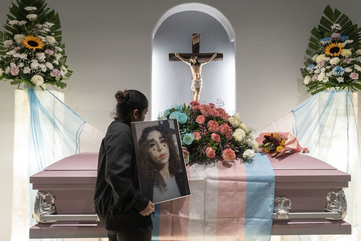 Frontline Freelance MX tweet media