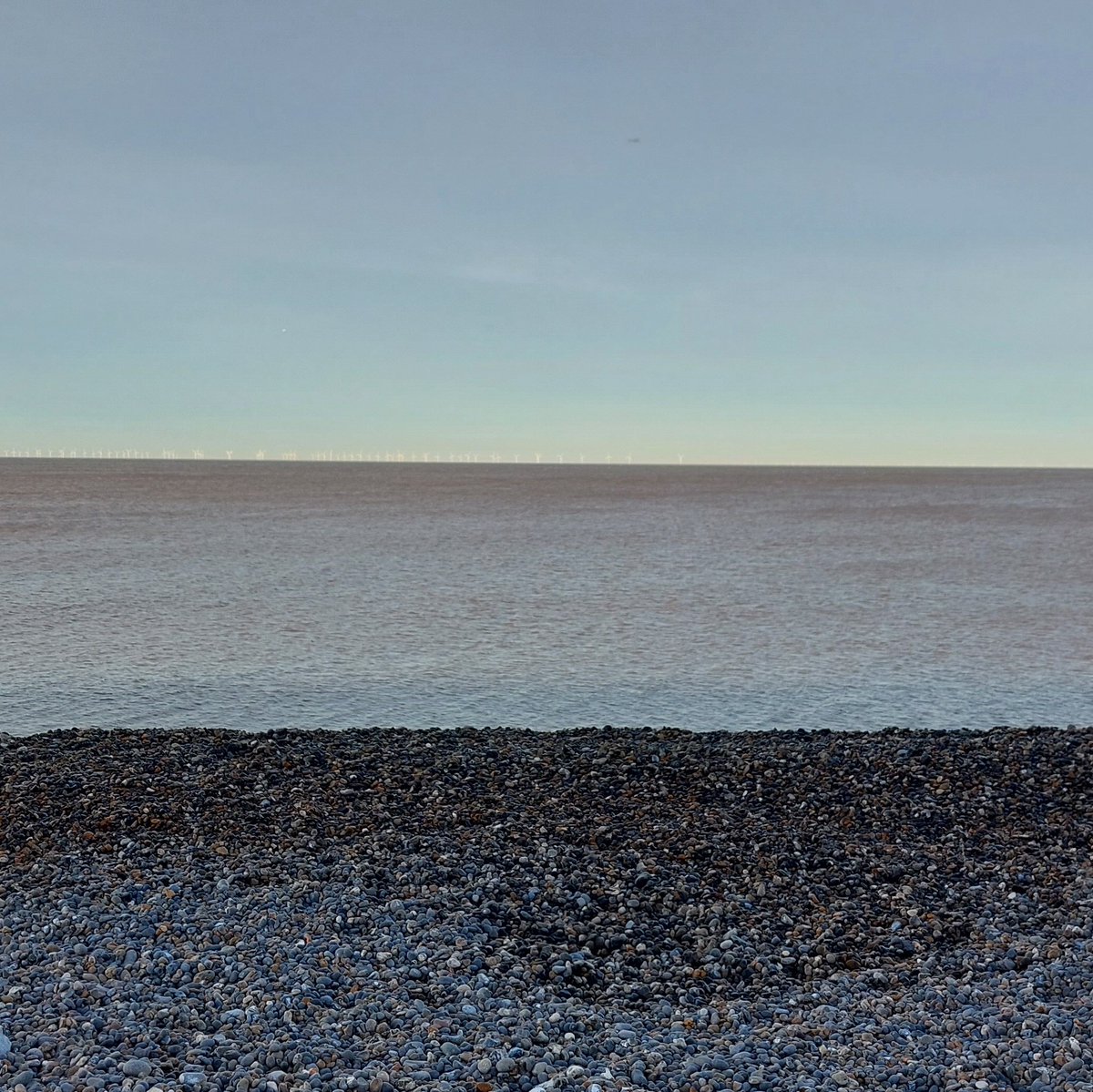 A large endangered European #eel "silvered" &amp; dead on the beach. It would have been heading to the Sargasso Sea to spawn. Not sure what went wrong. Weybourne, Norfolk, eastern England.