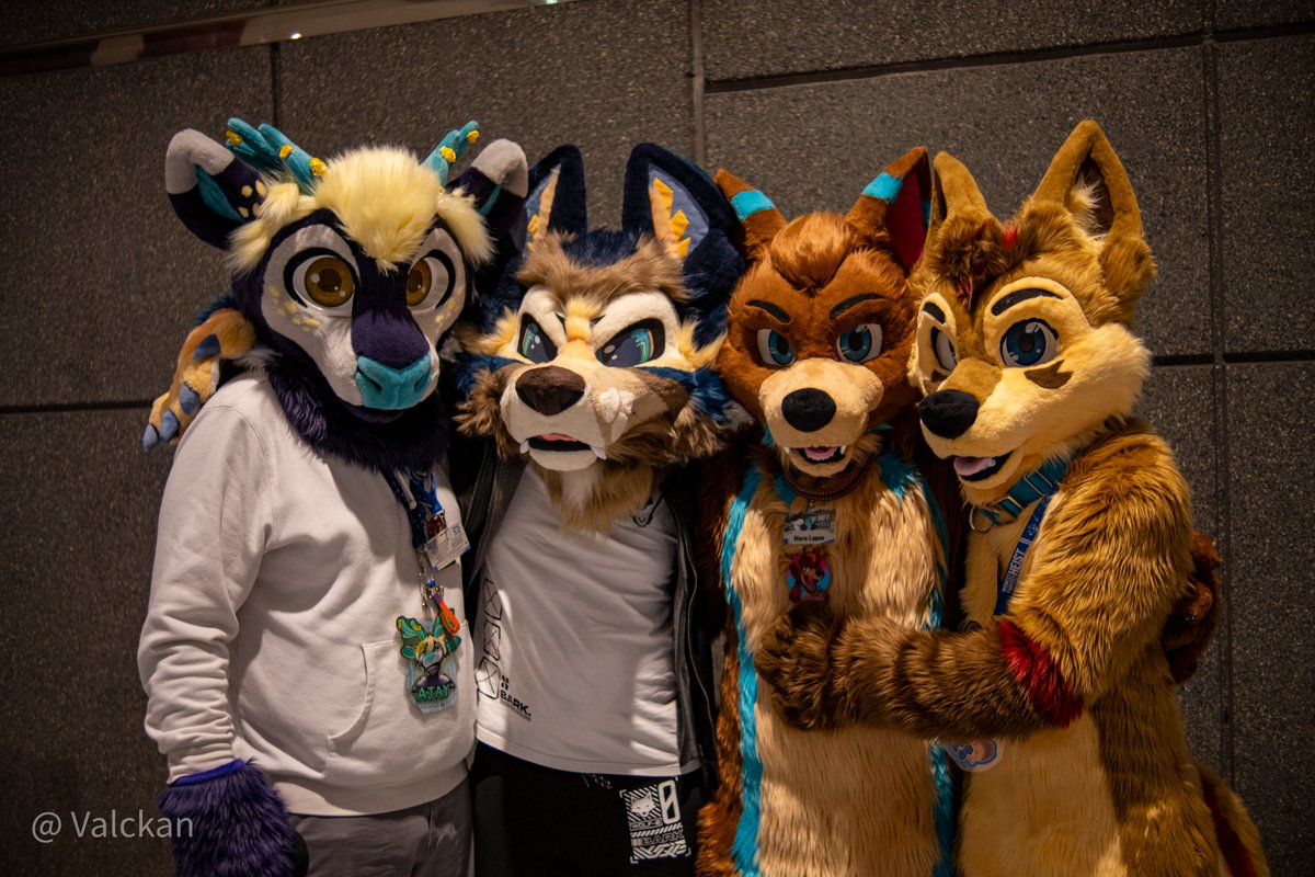 Maro Lupus tweet media