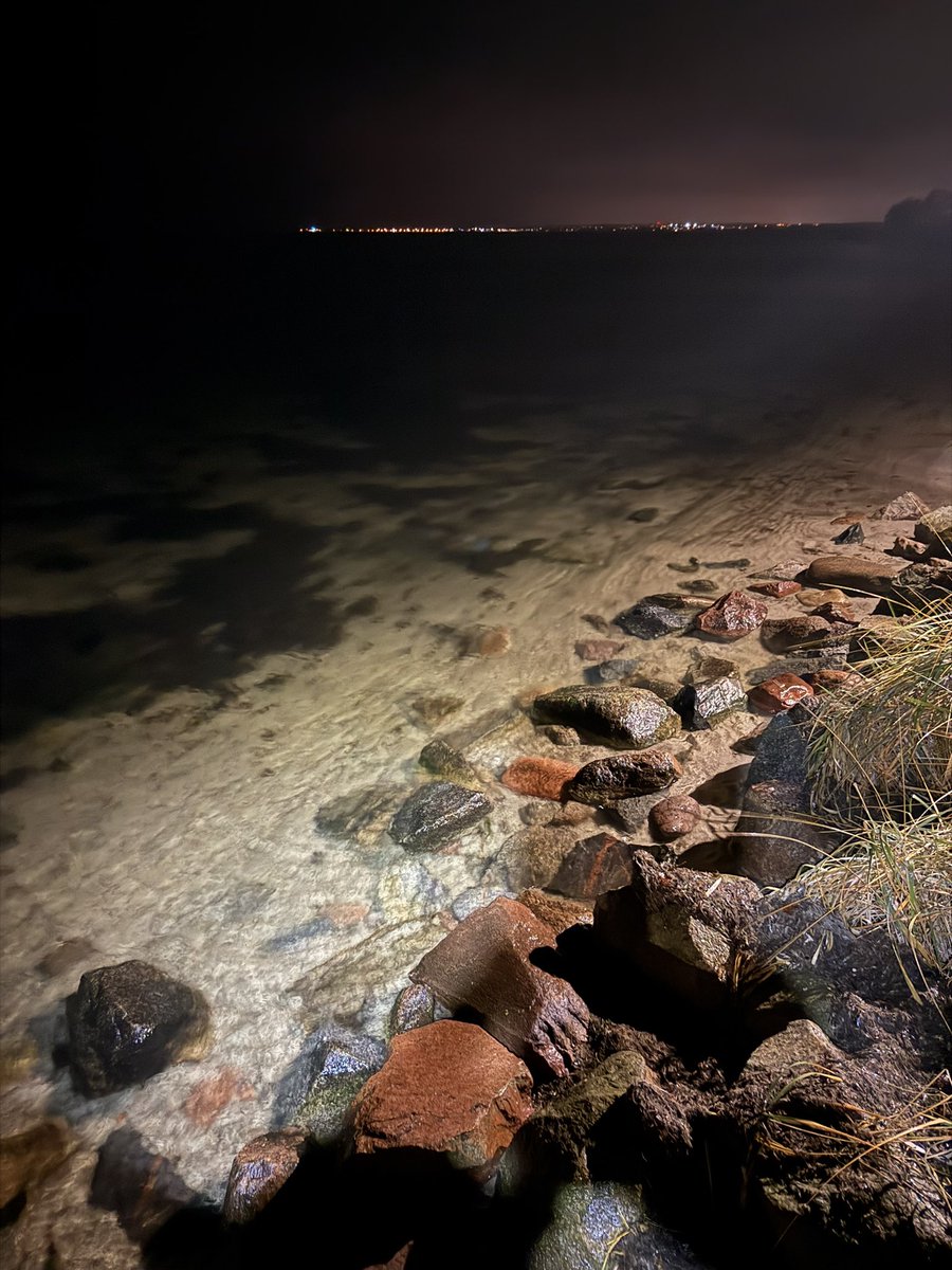 piotr_makowiec's tweet image. Ostatni spacer Starego Libka w 2024😅💦💦💦🌬️🌬️Osłonino🇵🇱🇪🇺🎄🎄🎄#urlop  #Kaszuby