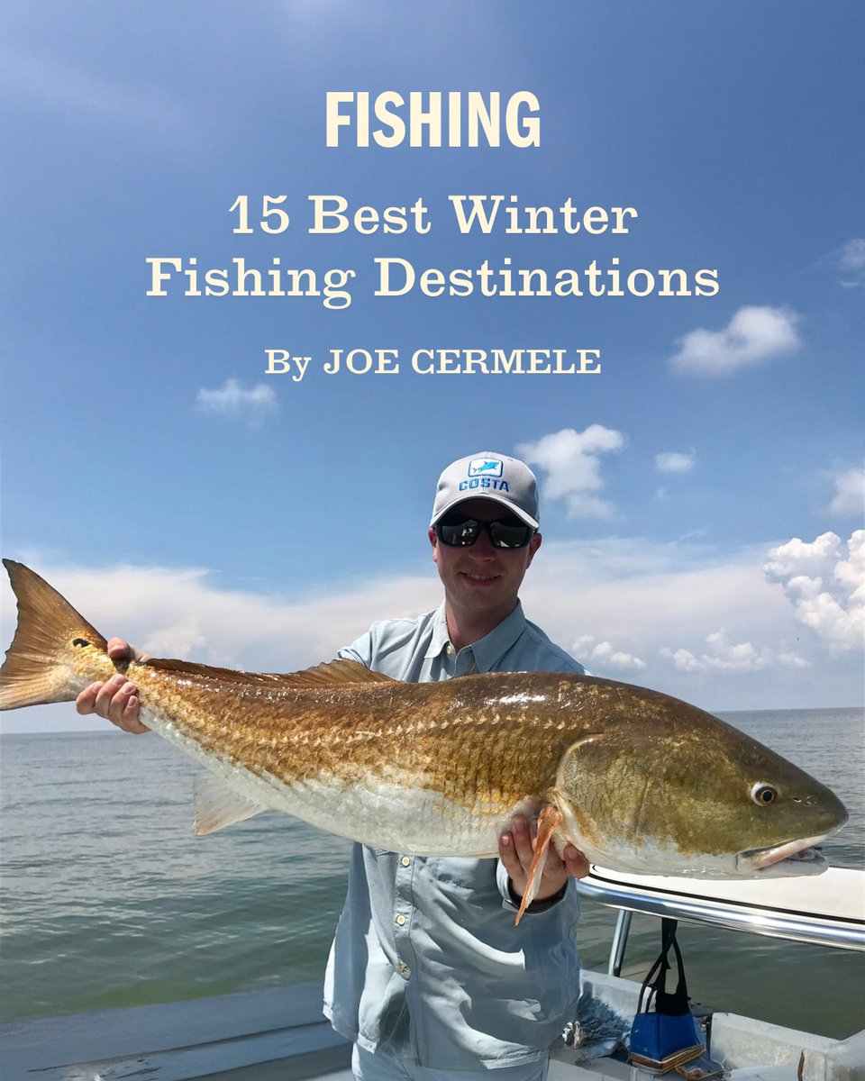 FieldandStream's tweet image. Whether you want to escape the cold or embrace it, keep the rods bent in these prime winter fishing destinations.

Learn more - fieldandstream.com/fishing/15-win… 🐟

#TheLegendLives #Fishing #AnglerLife