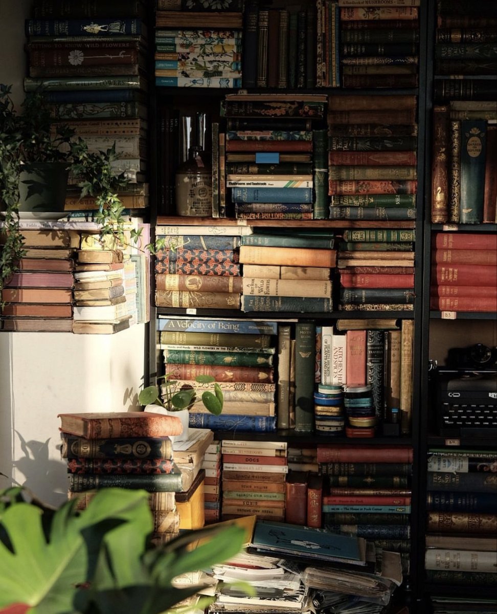 poeticalphotos's tweet photo. https://t.co/j215A1oVyP