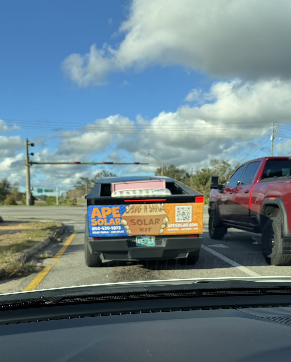 Ape spotted in the wild