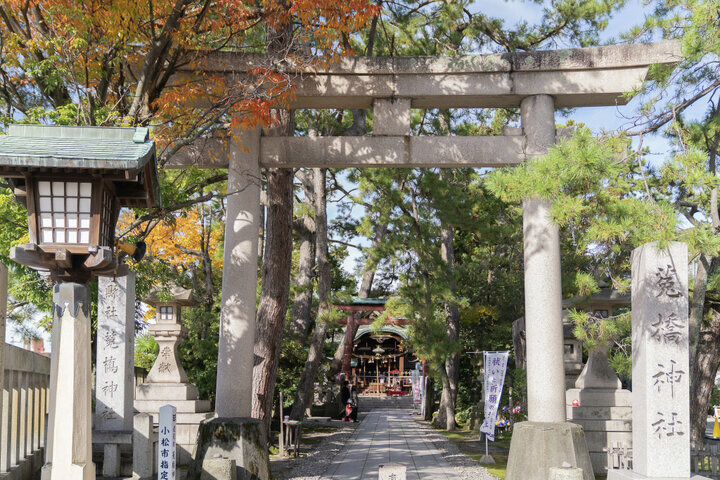 cotrip_twi's tweet photo. 【石川｜莵橋神社】

うさぎとの縁が深い神社。
良縁や安産、商売繁盛、健康長寿といったご利益をもたらす「うさぎ」モチーフの授与品が豊富にそろい、参拝者を楽しませる工夫が満載です。

https://t.co/hF1b6EN9XJ https://t.co/x5huRNQVdV