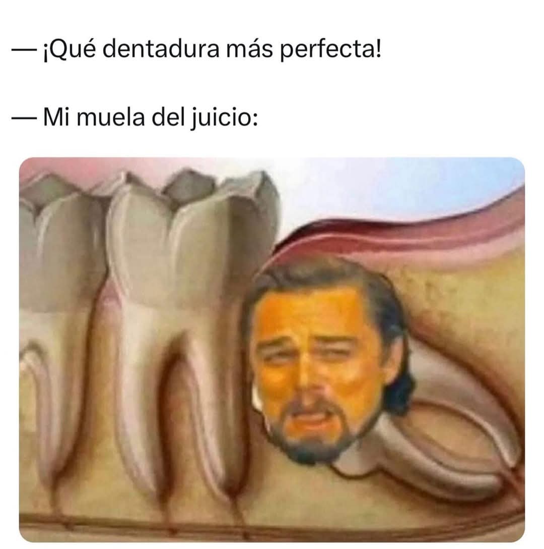 EnsedeCiencia's tweet photo. https://t.co/2FFtsHLmLm