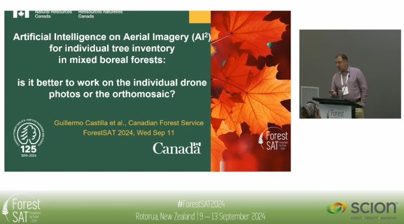 Guillermo Castilla tweet media