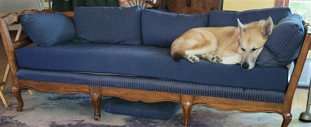 CustomCushions's tweet photo. 🐾 New Year, New Bench Cushion! This custom creation in #Sunbrella Spectrum Indigo is dog-approved and perfect for cozy lounging. 🛋️🐕

#HappyNewYear  from #CustomCushions! 🎉 Start your 2025 in style: https://t.co/PIgzgpBYlx https://t.co/4tO94p4BuF