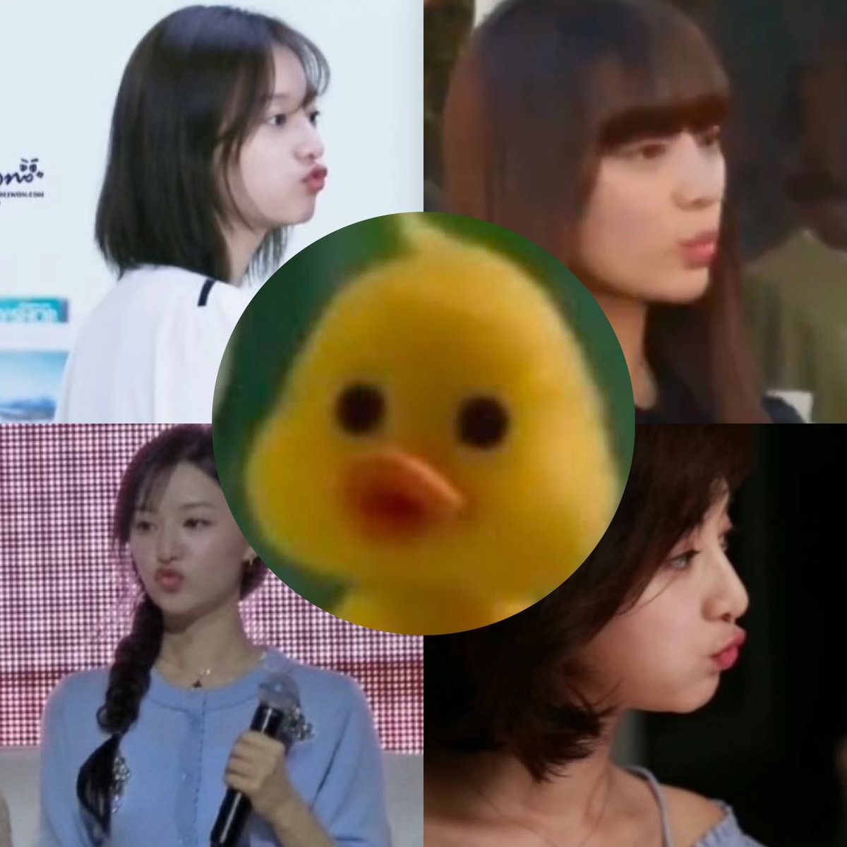 Nobody:
Pouty Geewonii: 👇🏻😙