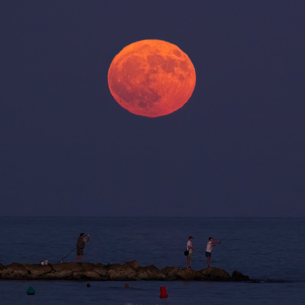 Abro hilo con varias de las fotografías que he hecho en este año 2024. No llevo un orden especial ni me he basado en impacto ni en número de visualizaciones, sino en las sensaciones vividas al obtener las imágenes.
(Sigue...)