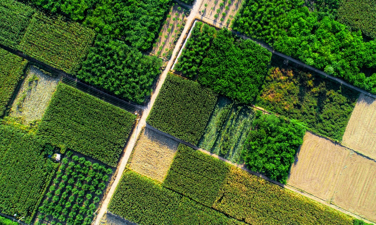 Ben Vaughn tweet media