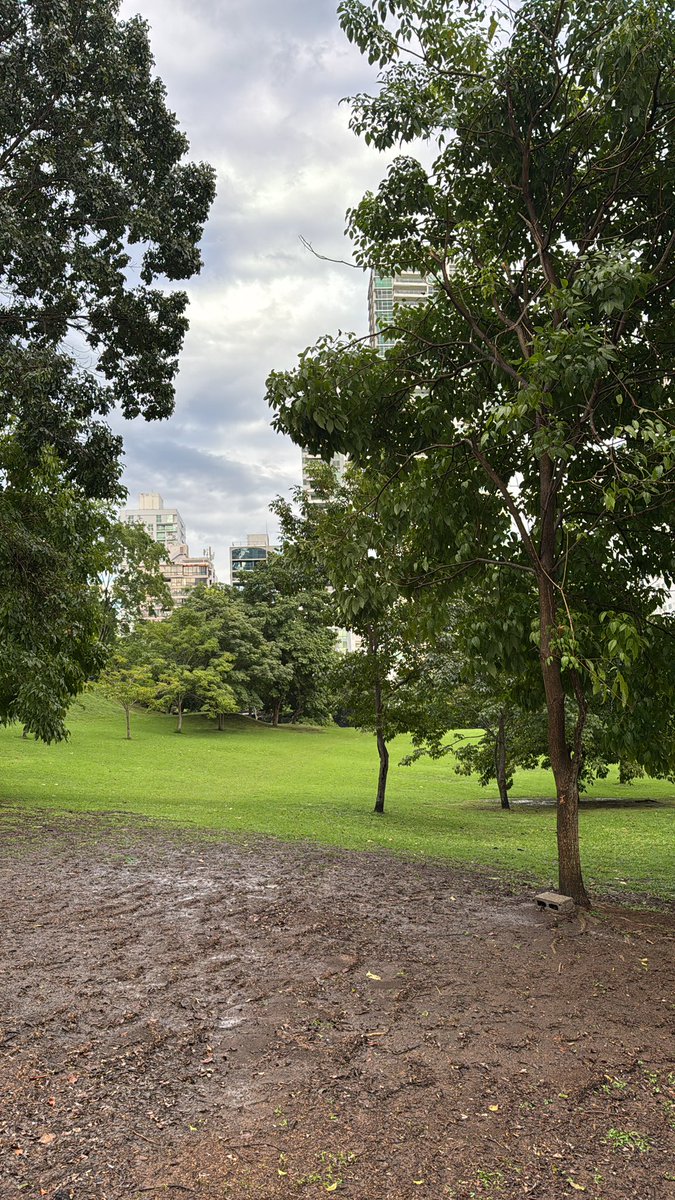 “Hay cosas ‘gratis’ que damos por sentado:
🚶‍♂️ Caminar
🌬️ Respirar
👁️ Ver
👂 Escuchar

Hoy, recordé apreciarlas en una caminata outdoors. 🌿✨”

PANAMÁ 🇵🇦  5:18 pm