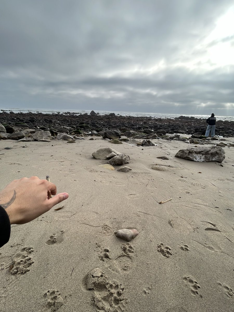 Sometimes you just gotta … !