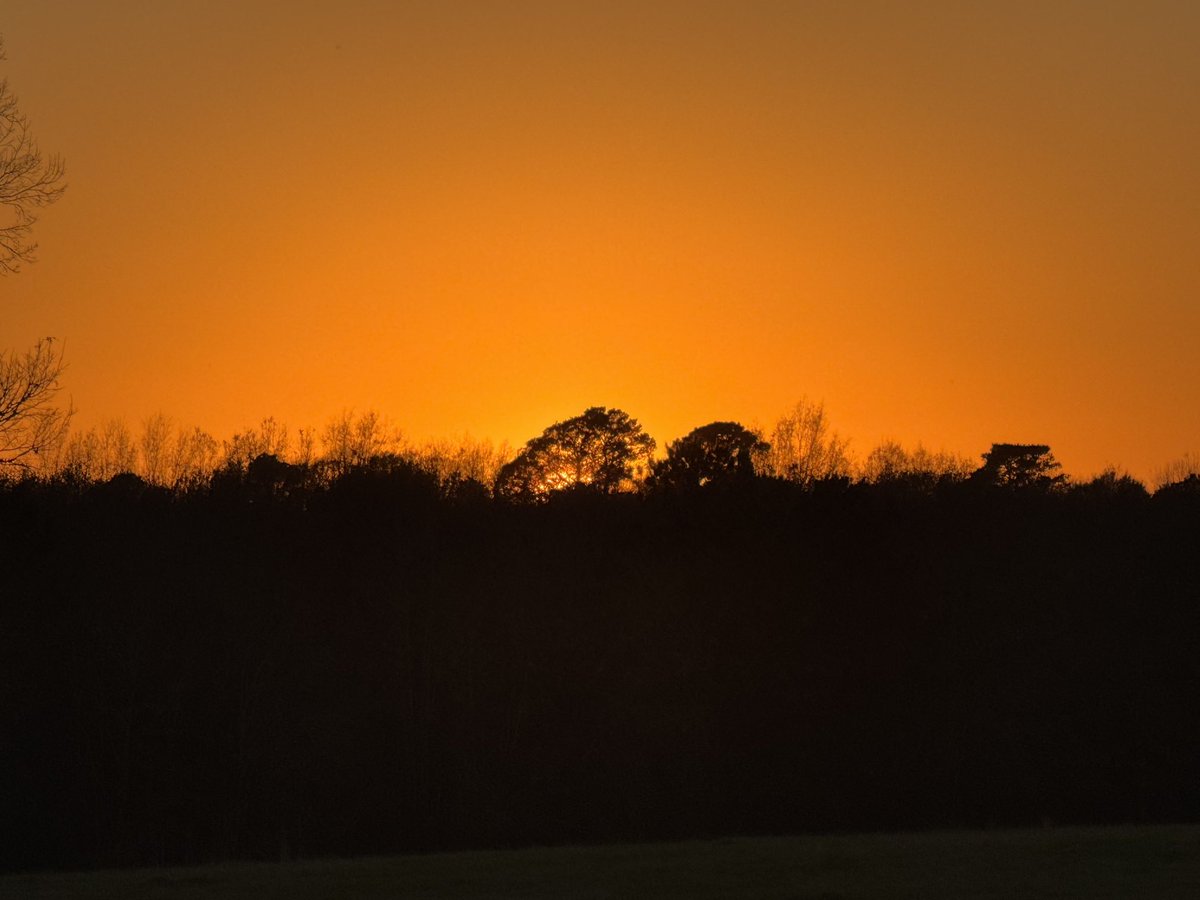 Terry McFadden (@tmcfadden2016) on Twitter photo 