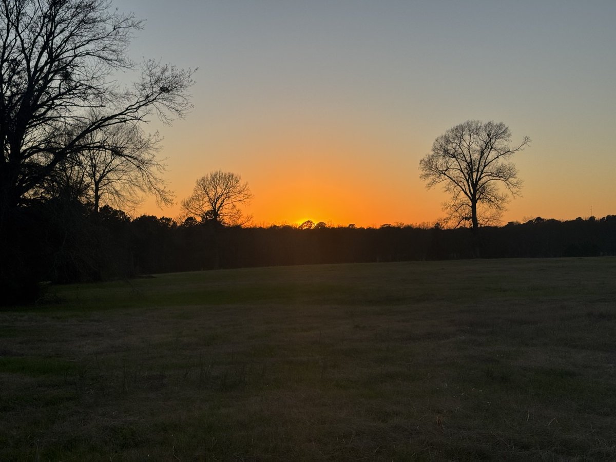 Terry McFadden (@tmcfadden2016) on Twitter photo 