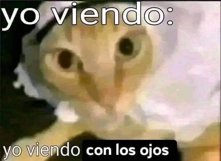 ismael_adriel's tweet photo. @vidalmerchan23 @Elegido123_ ¡NMS NO TE PROYECTES HERMANÓ! https://t.co/3oJG93phrk