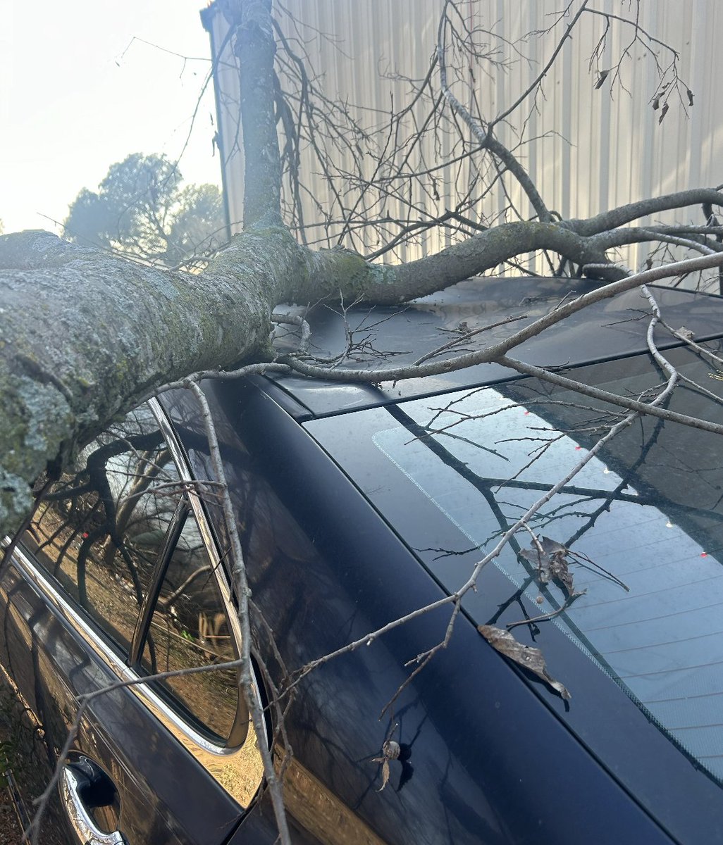 Chris Koerner tweet media