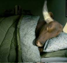 vai amor se diverte vou ficar dormindo aq