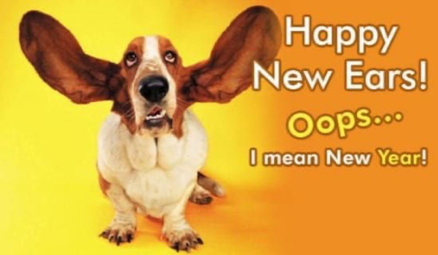 basset_bella's tweet photo. https://t.co/O6abJCGrqN
