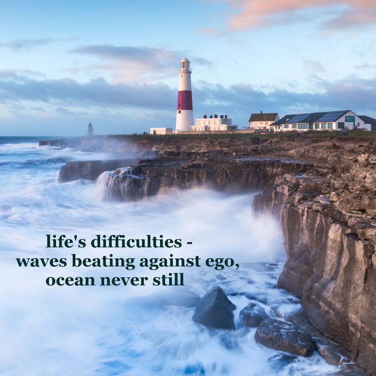 nfinitethinking's tweet image. Haiku by Mike Wilson, photo by Chris Meads
#mikewilsonauthor  #highercosciousness #ego