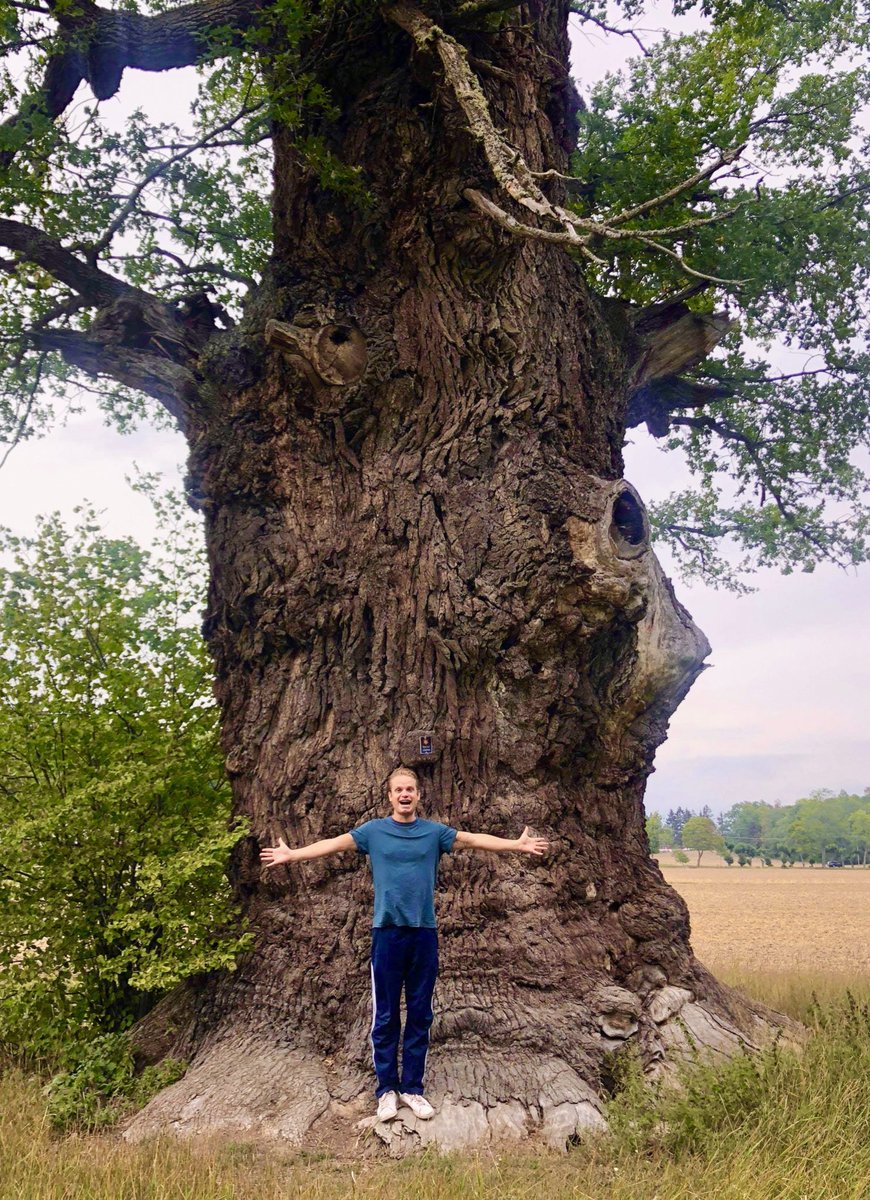 - Ministry of Swedish Oaks 🇸🇪 - tweet media