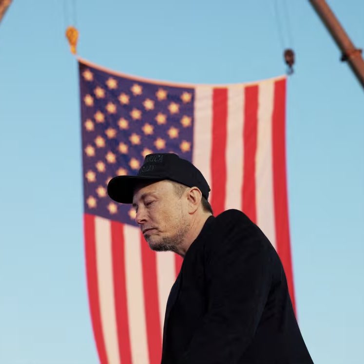 DogeDesigner tweet media