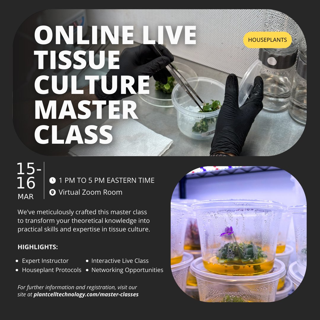 📣 The First 3 Master Classes of 2025 Are Here! 

Don’t miss out on your chance to join these transformative classes and elevate your tissue culture skills.

📩 Click here to register today: plantcelltechnology.com/master-classes

#PlantTissueCulture #RarePlants #TissueCulture