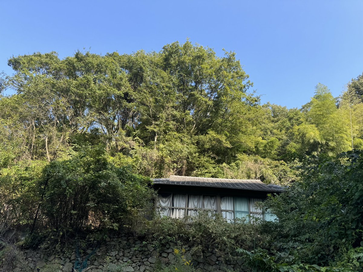 m320jhon's tweet photo. 2024年省吾さんの思い出
広島HBGホール2日目に参加した翌日、絶対に行きたかった竹原市。
海が見える小さな集落へハンドルを左に切りゆっくり流れる時を感じながら路地裏を歩く…あった…ここで省吾さんは生を受け幼少期を過ごされたんだ…涙が出て止まらなかった。
＃浜田省吾ファン
＃2024年の思い出 https://t.co/FVC44T66tu