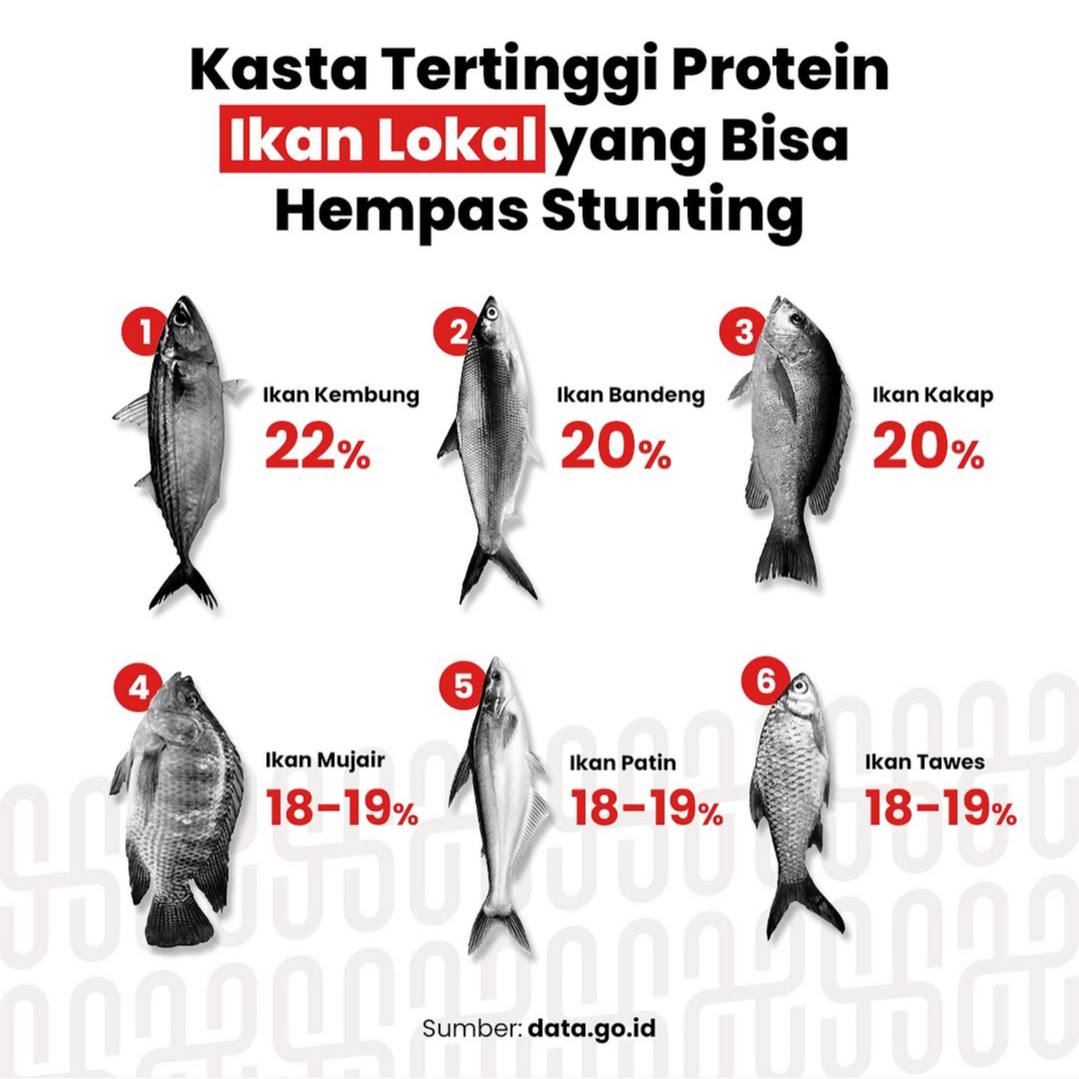 glitterycastle's tweet photo. Kalian suka ikan yang mana nih? https://t.co/jliPkh54RF