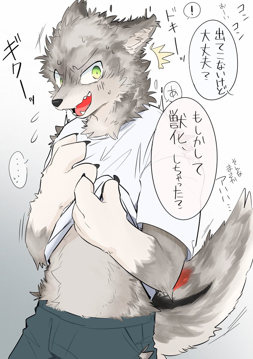 10t100t1000tt's tweet photo. #2024年自分が選ぶ今年の4枚
よそのこワンワンFA４枚 https://t.co/2036xVn8nG