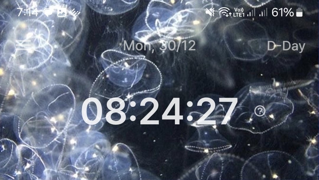 _jellycreature's tweet image. cmangat cmangat