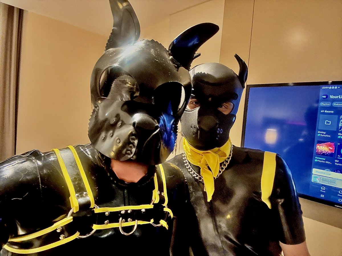 Two yellow pups hit the town <a href="/Milo0Pup/">BristolSubPup</a>