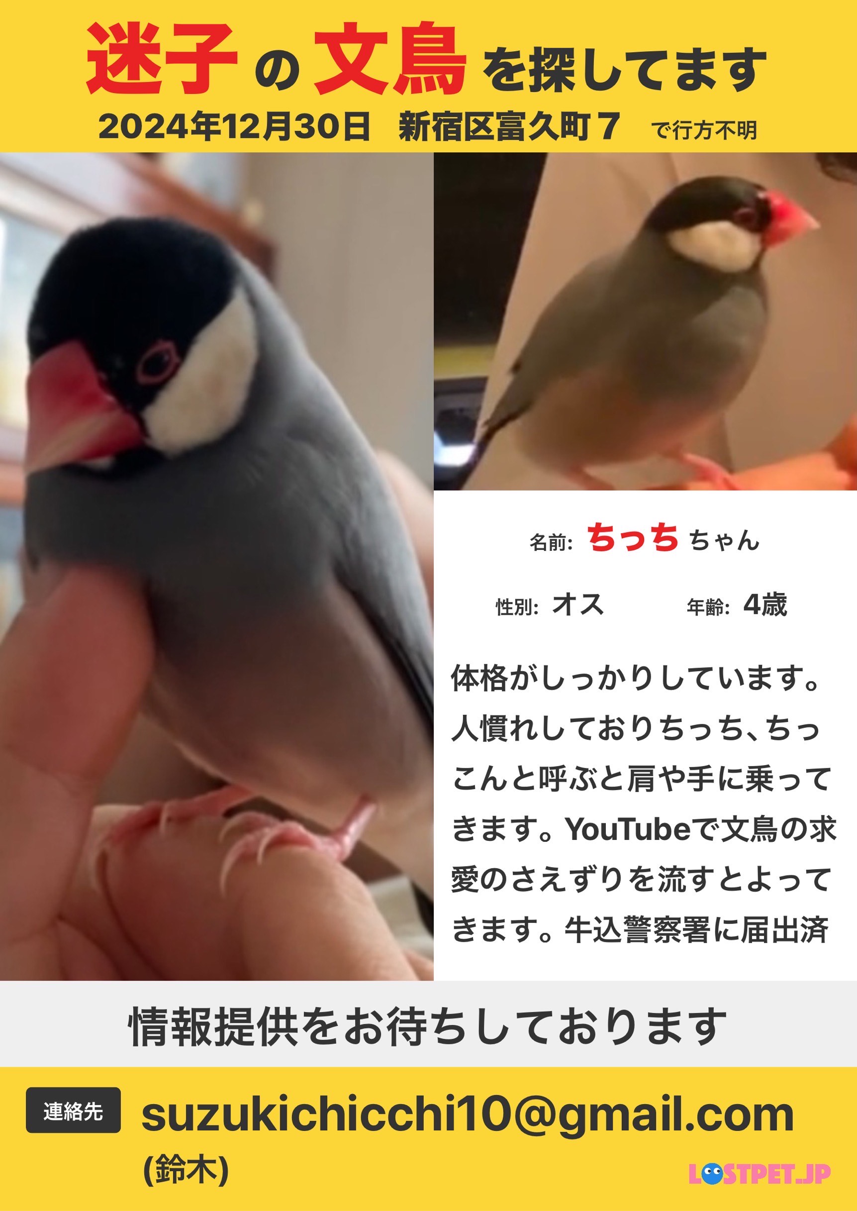 Item - 文鳥と鳥さんのお店