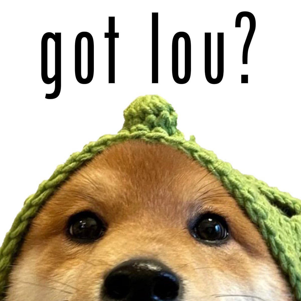 AZTfutures's tweet image. Check out $LOU