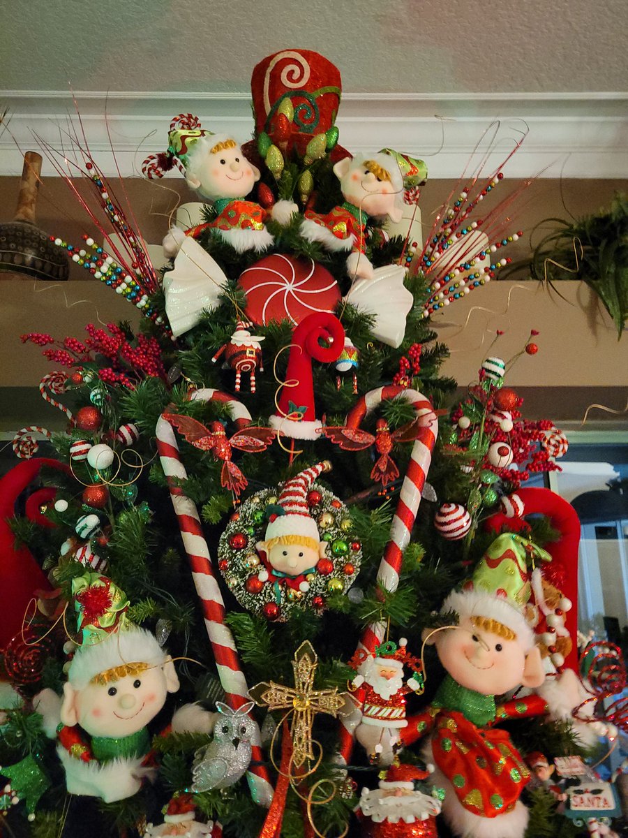 DavidRooks's tweet image. The tree that could be grinch bait. @elonmusk