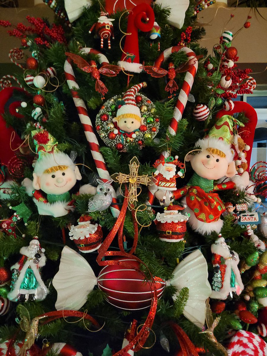 DavidRooks's tweet image. The tree that could be grinch bait. @elonmusk