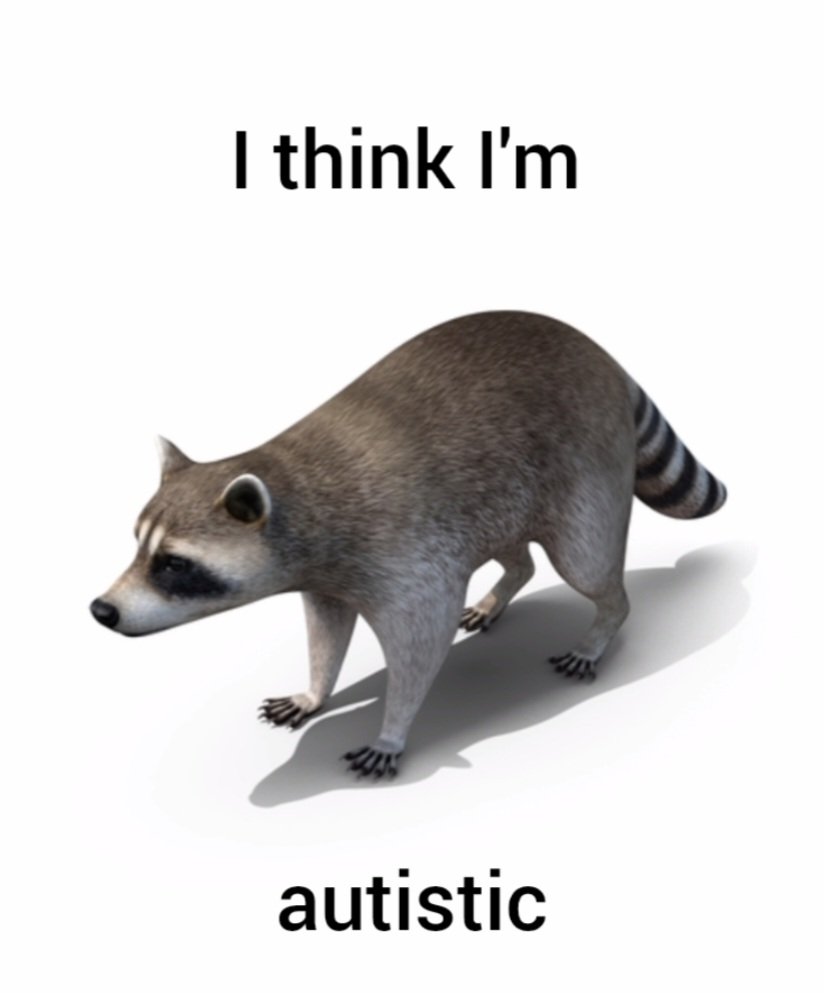 Why you should have a Raccoon tweet media