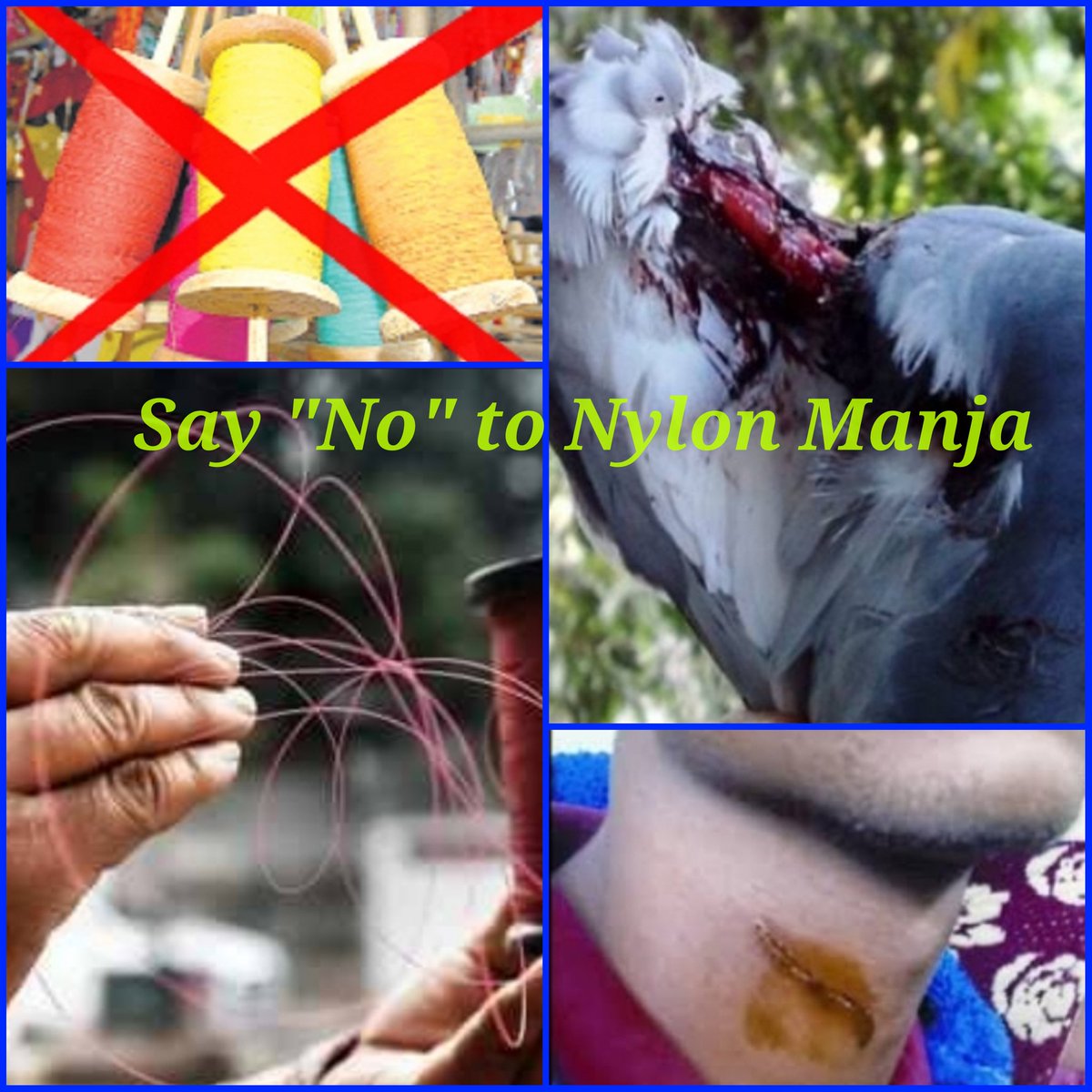 Say "NO" to Nylon Manja

<a href="/ngpnmc/">Nagpur Municipal Corporation</a> <a href="/SPNagpurrural/">नागपूर ग्रामीण पोलीस - Nagpur Rural Police</a> <a href="/NagpurPolice/">Nagpur City Police</a> <a href="/TOI_Nagpur/">TOI Nagpur</a> 

#nagpur
