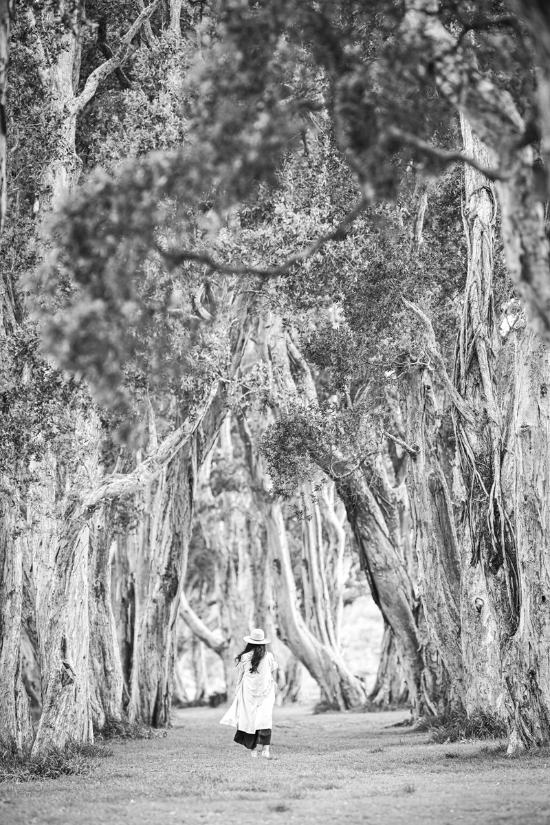 HomeWhenWalking's tweet image. Walking in this world. 🌿 Join me on Instagram (@homewhenwalking) for live walks from Sydney in the new year! Happy 2025! #walking #nature #sydney

instagram.com/reel/DEOHx3bz4…