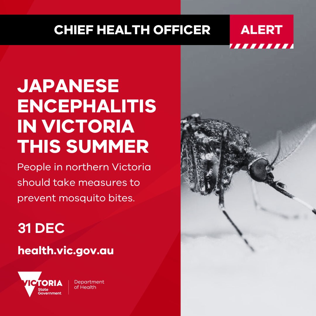 Recent findings indicate that Japanese encephalitis (JE) virus is likely circulating in northern Victoria

JE virus can cause a rare but potentially serious infection of the brain and is spread to humans through bites from infected mosquitoes

More: go.vic.gov.au/4gxnqb9

1/4🧵